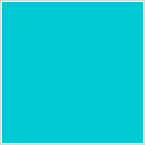 00C9D4 Hex Color Image (LIGHT BLUE, ROBINS EGG BLUE)