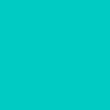 00CBC3 Hex Color Image (AQUA, LIGHT BLUE, ROBINS EGG BLUE)