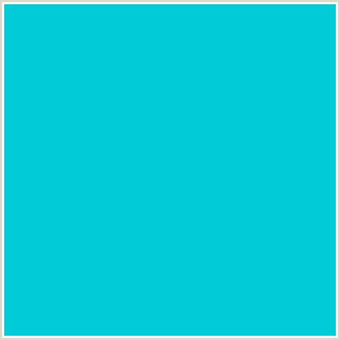 00CBD6 Hex Color Image (LIGHT BLUE, ROBINS EGG BLUE)