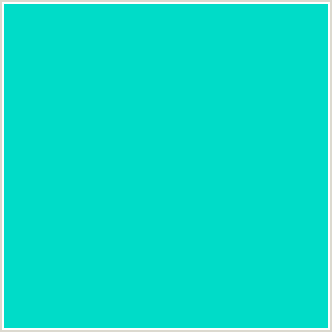 00DCC8 Hex Color Image (AQUA, LIGHT BLUE, ROBINS EGG BLUE)