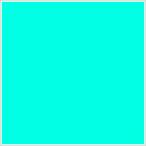 00FFE5 Hex Color Image (BLUE GREEN, CYAN)