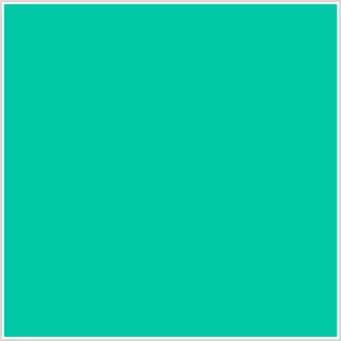 01C8A5 Hex Color Image (BLUE GREEN, CARIBBEAN GREEN)