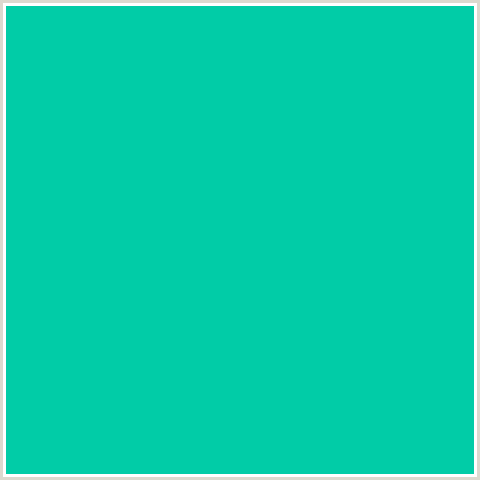 01CCA7 Hex Color Image (BLUE GREEN, CARIBBEAN GREEN)