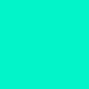 02F4C9 Hex Color Image (BLUE GREEN, BRIGHT TURQUOISE)