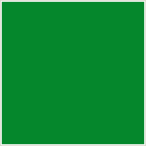 05872C Hex Color Image (FOREST GREEN, GREEN, SALEM)