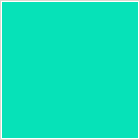 06E2B8 Hex Color Image (BLUE GREEN, BRIGHT TURQUOISE)