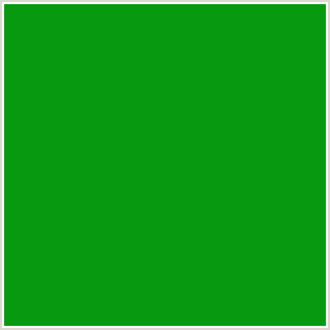 079A11 Hex Color Image (GREEN, JAPANESE LAUREL)