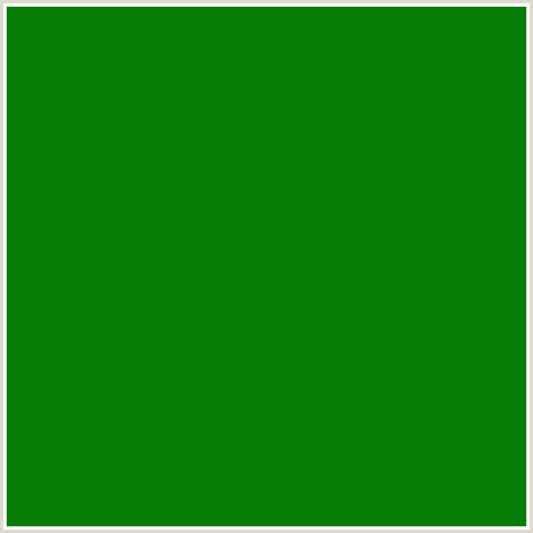 087D06 Hex Color Image (FOREST GREEN, GREEN, JAPANESE LAUREL)