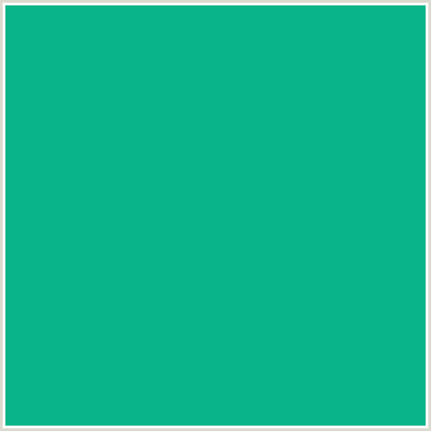 08B58A Hex Color Image (BLUE GREEN, NIAGARA)