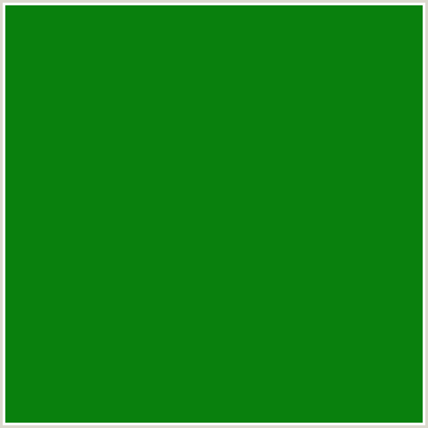 09800D Hex Color Image (FOREST GREEN, GREEN, JAPANESE LAUREL)