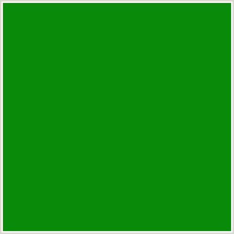 098A09 Hex Color Image (FOREST GREEN, GREEN, JAPANESE LAUREL)