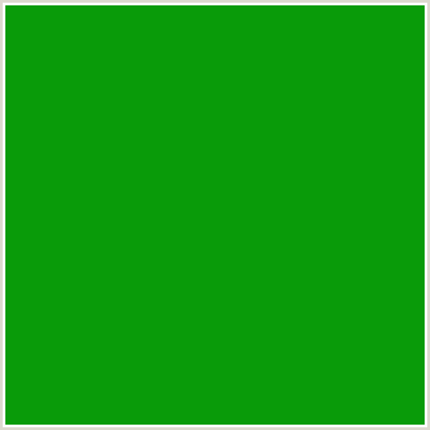 099B09 Hex Color Image (GREEN, JAPANESE LAUREL)