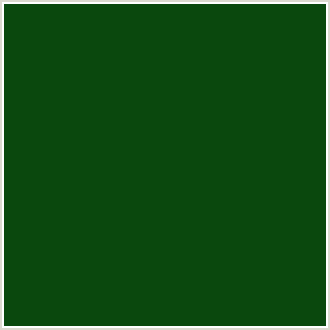 0A480D Hex Color Image (DARK FERN, GREEN)