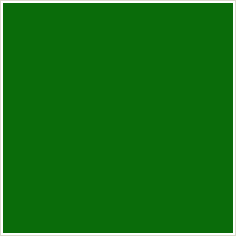 0A6C0A Hex Color Image (FOREST GREEN, GREEN, SAN FELIX)