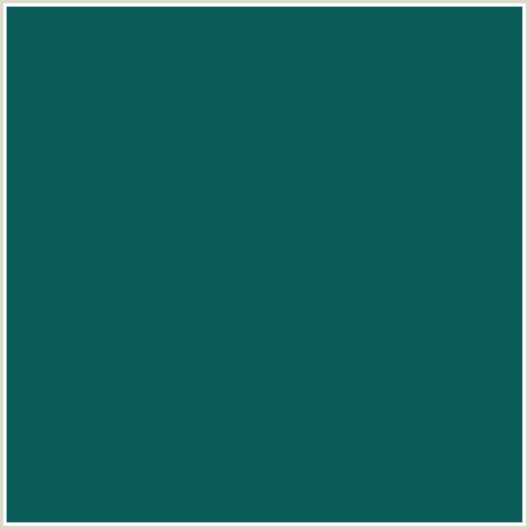 0B5C58 Hex Color Image (AQUA, DEEP SEA GREEN, LIGHT BLUE)