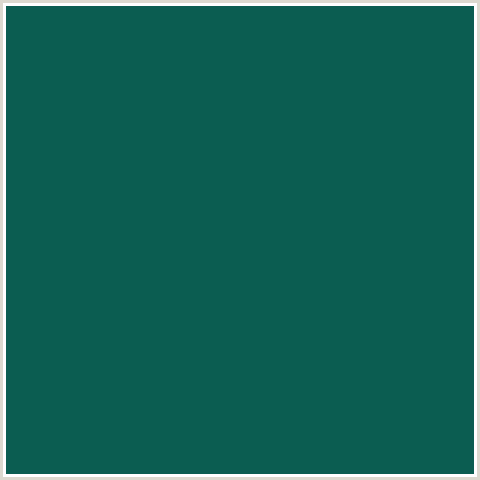 0B5D51 Hex Color Image (BLUE GREEN, DEEP SEA GREEN)