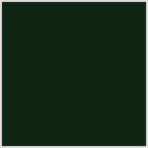 0C2514 Hex Color Image (BLACK BEAN, GREEN)