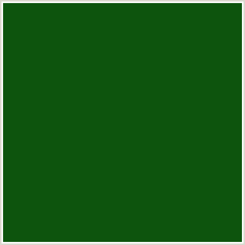 0D540D Hex Color Image (DARK FERN, GREEN)