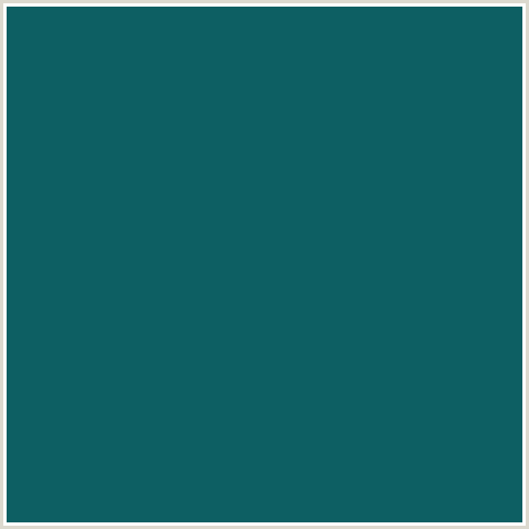 0D5F63 Hex Color Image (DEEP SEA GREEN, LIGHT BLUE)