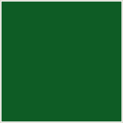 0E5C25 Hex Color Image (GREEN, JEWEL)