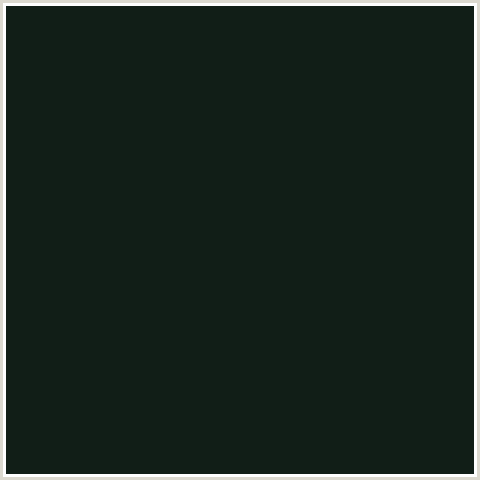 111E17 Hex Color Image ()