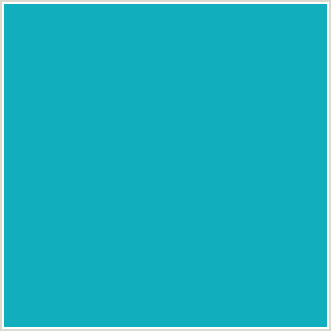 11AEBD Hex Color Image (JAVA, LIGHT BLUE)