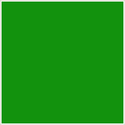 12920D Hex Color Image (FOREST GREEN, GREEN, JAPANESE LAUREL)