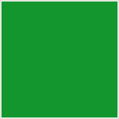 12962D Hex Color Image (FOREST GREEN, GREEN, SALEM)