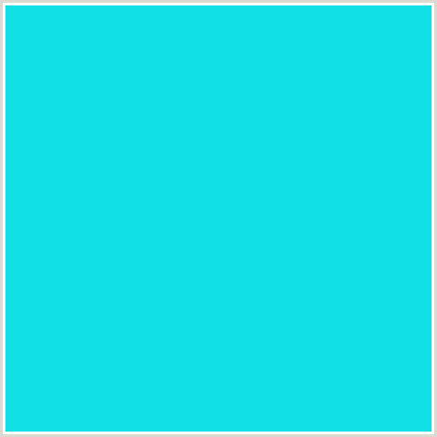 12E0E7 Hex Color Image (BRIGHT TURQUOISE, LIGHT BLUE)