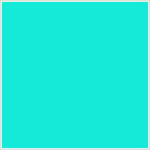 15E9D8 Hex Color Image (AQUA, BRIGHT TURQUOISE, LIGHT BLUE)