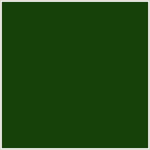 164209 Hex Color Image (DARK FERN, GREEN)