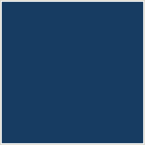 173C62 Hex Color Image (BISCAY, BLUE, MIDNIGHT BLUE)
