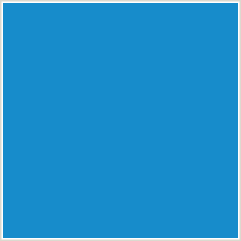 178CCB Hex Color Image (BLUE, CURIOUS BLUE)