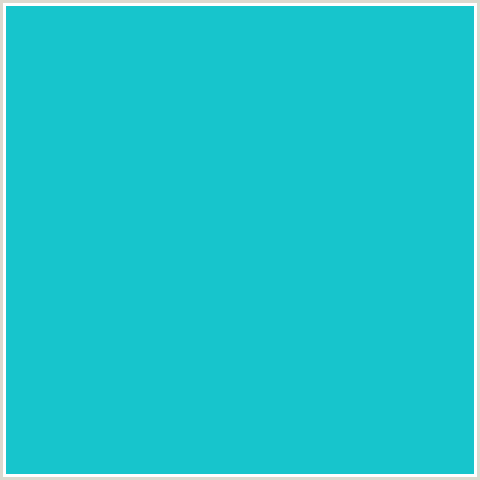 17C5CC Hex Color Image (JAVA, LIGHT BLUE)