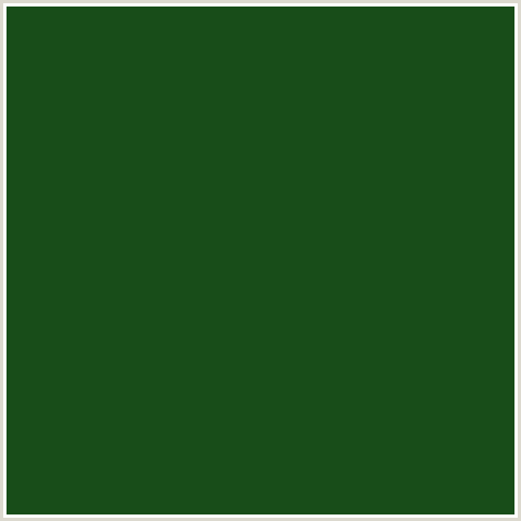 184D19 Hex Color Image (GREEN, PARSLEY)