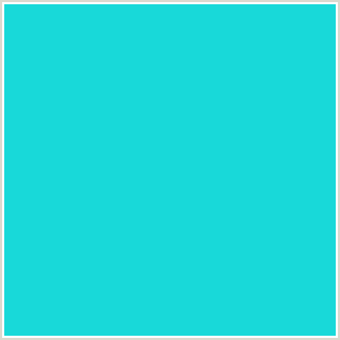 18D9D9 Hex Color Image (JAVA, LIGHT BLUE)