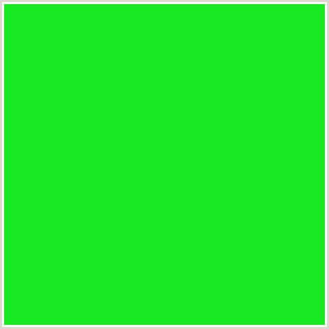 18E821 Hex Color Image (GREEN, MALACHITE)