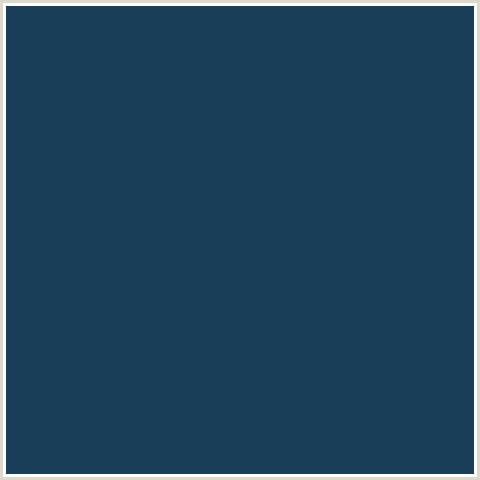 193E58 Hex Color Image (BLUE, MIDNIGHT BLUE, NILE BLUE)