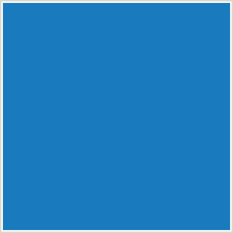 197BBD Hex Color Image (BLUE, DENIM)