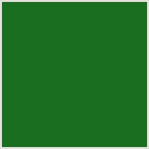 1A6F20 Hex Color Image (FOREST GREEN, GREEN)
