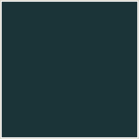 1B3438 Hex Color Image (GABLE GREEN, LIGHT BLUE)