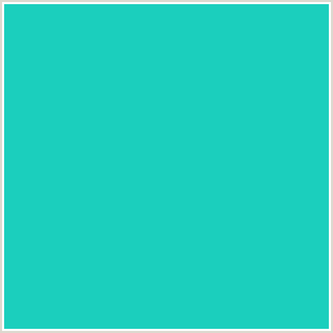 1BCFBD Hex Color Image (BLUE GREEN, JAVA)