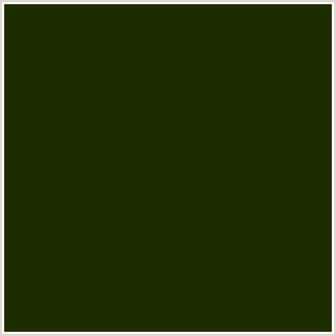 1D2D00 Hex Color Image (DEEP FIR, GREEN YELLOW)