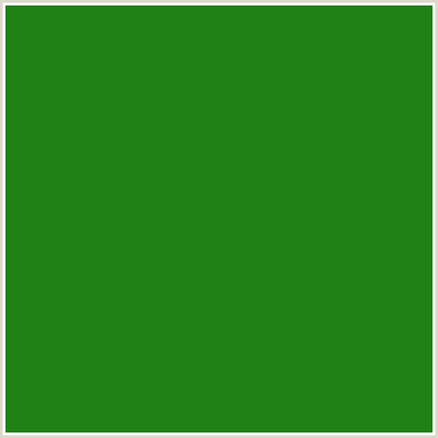 1F8114 Hex Color Image (BILBAO, FOREST GREEN, GREEN)