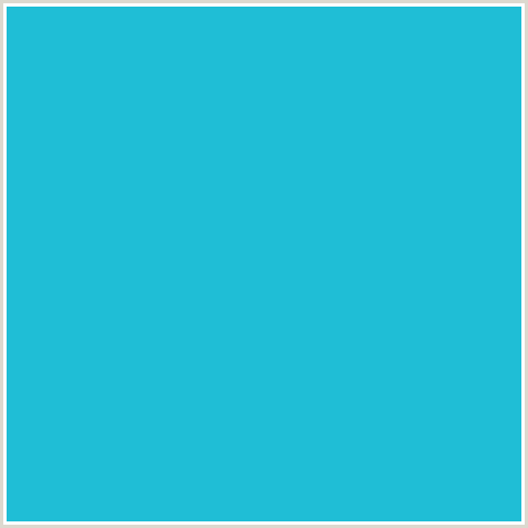 1FBED6 Hex Color Image (JAVA, LIGHT BLUE)