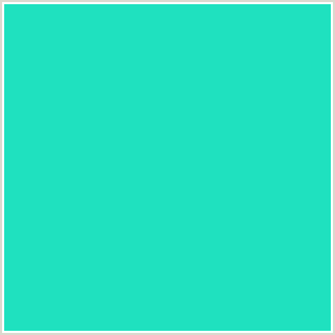 1FE1BF Hex Color Image (BLUE GREEN, JAVA)