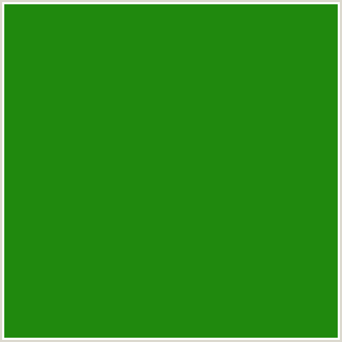 20890E Hex Color Image (BILBAO, FOREST GREEN, GREEN)