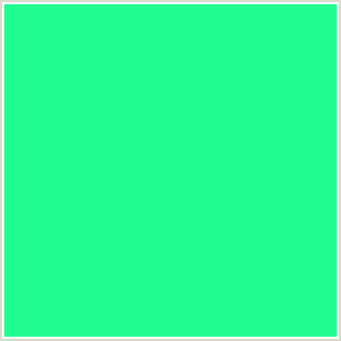 20FC8F Hex Color Image (GREEN BLUE, SPRING GREEN)