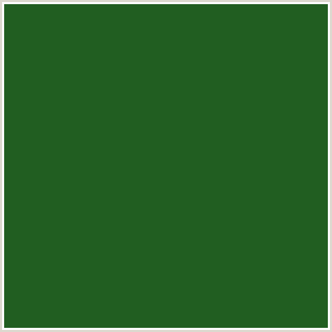 215E21 Hex Color Image (GREEN, GREEN PEA)
