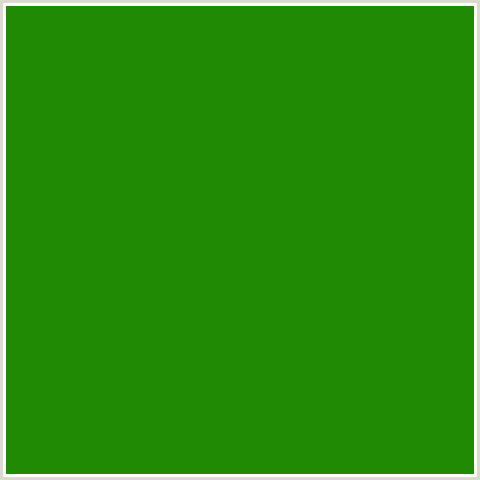 218A05 Hex Color Image (FOREST GREEN, GREEN, JAPANESE LAUREL)